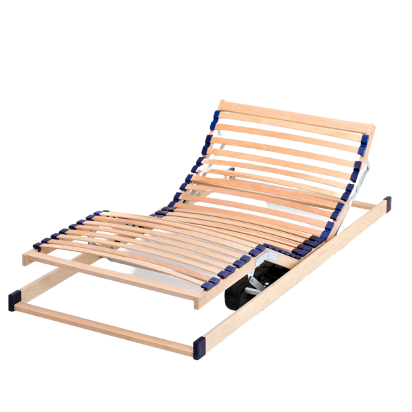 Basic motoric naslovna